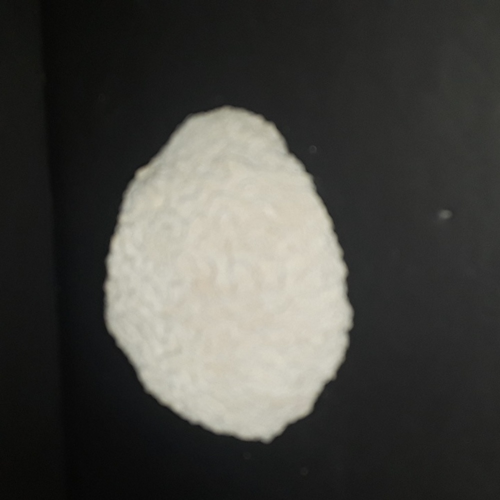 RARE VINTAGE NATURAL BRAIN CORAL SEA SPECIMEN FOSSIL 1.4 OZ - Picture 5 of 6